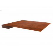 Планка завершающая 0,45 Print Premium Golden Wood Fresh TwinColor (3м)