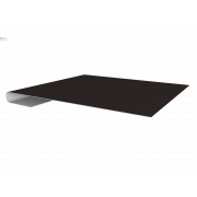 Планка завершающая 0,5 PurPro с пленкой RAL 9005 черный (2м)